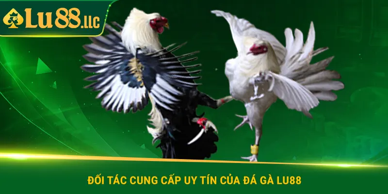 Đá Gà lu88 | Gây Sốt Với 4 Kiểu Đặt Cược Độc Đáo & Hấp Dẫn - slotzen69.lol