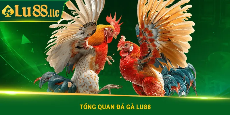 Đá Gà lu88 | Gây Sốt Với 4 Kiểu Đặt Cược Độc Đáo & Hấp Dẫn - slotzen69.lol