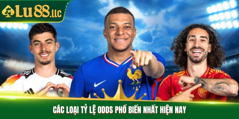 Odds là gì và cách đọc các loại tỷ lệ kèo nhà cái chuẩn 2026 - slotzen69.lol