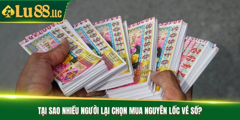 1 Seri vé số bao nhiêu tờ và tất cả những điều bạn cần biết - slotzen69.lol